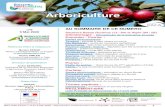 Arboriculturedraaf.paca.agriculture.gouv.fr/IMG/pdf/BSV_PACA_Arbo...2020/05/06  · Drosophila suzukii: premiers dégats sur Burlat Pucerons noirs: 1ers foyers Monilia Fruits: début