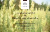 un - VAADnoverojumi.vaad.gov.lv/images/Graudaugu_kaitekli_2016.pdf · 2016. 4. 8. · 2013. gada sezonā atsevišķās teritorijās tika novērota spēcīga kviešu stiebru pangodiņa