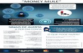 MillenniumbcpMULE A "money mule" é uma pessoa que transfere entre diferentes contas bancárias, muitas vezes entre diversos países, dinheiro obtido ilicitamente, recebendo em troca