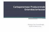 Carbapenemase Producerende Enterobacteriaceaeusers.skynet.be/fa686441/GAB/GAB-2013/CPE-VanVaerenbergh...Microsoft PowerPoint - Ppt0000015 [Alleen-lezen] Author gdepourcq Created Date