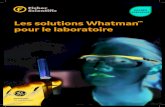 Les solutions Whatman pour le laboratoire · Les papiers filtres Whatman de GE Healthcare Life Sciences sont couramment utilisés pour la filtration en laboratoire et sont synonymes