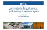 La Estrategia de la UE para la Adaptación al cambio ......Algunas herramientas específicas : - Apoyo al desarrollo de Planes de Adaptation - Casos de estudio Adaptación en ... •