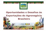 Oportunidades e Desafios às Exporta ções do Agroneg ócio …mapas.agricultura.gov.br/agroeventos/uploads/20100531... · 2010. 5. 31. · “Máquina de Vendas”, que nasce com