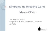 New Síndrome de Intestino Corto - SAP · 2016. 11. 14. · Incapacidad del intestino delgado para cubrir las necesidades de macronutrientes, micronutrientes, electrolitos y fluidos,
