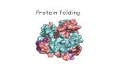 Protein folding · 2011. 5. 10. · Protein folding. Centrala Dogmat DNA RNA Protein. Anfinsensklassiska experiment. Proteinstrukturer. Faktorer som påverkar den nativa strukturen