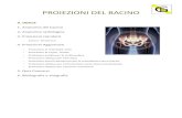 Proiezioni del Bacino - TSRM · 2020. 5. 18. · PROIEZIONI DEL BACINO 0. INDICE 1. Anatomia del bacino 2. Anatomia radiologica 3. Proiezioni standard - Antero- Posteriore 4. Proiezioni