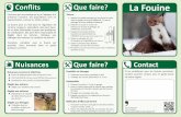 ﬂits La Fouine · 2018. 6. 27. · La Fouine Contact Si les problèmes avec les fouines persistent, veuillez prendre contact avec le garde-faune de votre région. Service des forêts
