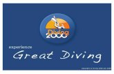 Sikker dykning – en guide til en god start. - Diving2000 ...Igennem dette kompendium vil du støde på tekst med blå skrift. Dette er Diving 2000’s holdninger til dykning. Man