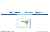 Chapitre 1: Introductionmonnier/2245/notes-intro.pdfChapitre 1: Introduction Operating System Concepts – 9 th Edition 1.2 Silberschatz, Galvin and Gagne ©2013, Monnier ©2016 Ce