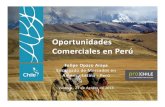 Oportunidades Comerciales en PerúBalanza Comercial 304 -6 -200 208 204% Intercambio Comercial 2.960 3.991 3.825 3.608 -6% Productos 2.851 2.912 2.827 2.765 -2% Empresas 2.107 2.139