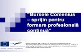 formare profesională continuă” · ”Bursele Comenius –sprijin pentru formare profesională continuă” Acest proiect a fost finanţat cu sprijinul Comisiei Europene. Această