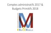 Comptes administratifs 2017 & Budgets Primitifs 2018 · 2020. 8. 5. · Comptes administratifs 2017 & Budgets Primitifs 2018 « Une terre fertile et accueillante, ouverte, ... Solde