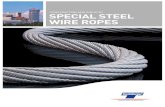 CONSTRUCTION AND INDUSTRY SPECIAL STEEL WIRE ROPES€¦ · rope, fiber rope and extrusion we set standards in more than 100 countries. Crane ropes for cranes in the building industry,