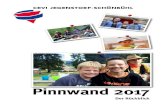 Pinnwand 2017 - Cevi Jegschö – Einmal Cevi – immer Cevi · 2018. 11. 2. · Kundgebung organisiert. Bei Ge-sprächen zwischen Verantwortli-chen der Verbände und Vertretern aus