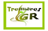 RAPPORT MORAL - Freetreillieres.free.fr/gymrythme/gymrythme.pdf · 2009. 11. 26. · TGR 1 = 1 ère TGR 2 = 4ème TGR = 6 ème TGR = 1 ère ½ Finale du Championnat de France 16 mai