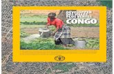 Ce qu’a apporté un projet de développement d’horticulture ...deuxième ville du pays et la capitale de la province du Katanga, dotée d’importantes richesses minérales Kisangani