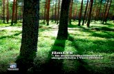 JämLYS - Skogsprogram Västerbotten · 2019. 4. 23. · Stort tack till dessa personer som är rapportens informanter: 6 1 Arbetsliv 7 Skogsbranschen i sverige och i Västerbotten