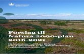 Forslag til natura 2000 plan 2016 -21 - naturstyrelsen.dknaturstyrelsen.dk/media/131161/n85_forslag_n2000plan_2016-21.pdfResume: Forslag til Natura 2000 -plan for Hedeområderne ved