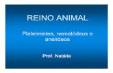 REINO ANIMAL · REINO ANIMAL Platelmintes, nematódeos e anelídeos Prof. Natália . Filo PLATYHELMINTHES qVermes de corpo “achatado” (vida livre ou parasitas). qTubo digestório