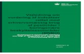 Vejledning om vurdering af indsatser rettet mod er-hvervsmæssig … · 2019. 8. 7. · ISBN: 978-87-7038-093-5 . Miljøstyrelsen / Vejledning om vurdering af indsatser rettet mod