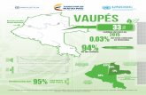 VAUPÉS - Observatorio de Drogas de Colombia | Centro de ...€¦ · 2015 del total cultivado 0,03% en Colombia de los cultivos 94% Carurú Fuente: Sistema de Monitoreo apoyado por