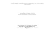 PATOLOGÍA DE LOS PUENTES PEATONALES EN LA LOCALIDAD DE ... · Inspección Visual de Puentes o Pontones1 (INVIAS, Manual para la Inspección Visual de Puentes y Pontones, 2006), donde