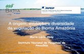 A origem, evolução e diversidade da vegetação do Bioma ... · Bioma Amazônia •O Bioma Amazônia é um dos mais importantes do mundo graças à sua rica biodiversidade e importância