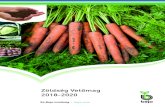 Zöldség Vetőmag 2018-2020 · megfeleljen, a Bejo Zaden B.V. (továbbiakban Bejo) minőségi sztendereket (szabványokat) állított fel a különféle vetőmag kategóriákban.