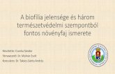 A biofília jelensége és három természetvédelmi szempontból …kornyezet.elte.hu/cimlap/hu/kornytan/Zarovizsga/Vedes... · 2015. 1. 29. · A biofília hipotézis értelmezése