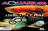 นิตยสาร Aquarium Biz Vol.4 Issue 52 (PDF)...ย อนกล บไปส กเม อ 5-6 ป ก อน ในย คทองของอควาเร ยม ย