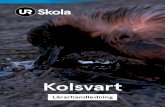 Kolsvart - Sveriges Utbildningsradio, UR...Fossila bränslen är kol, olja och naturgas. De har skapats under flera miljoner år av våtmarker med växter, dinosaurier och andra djur