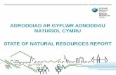 ADRODDIAD AR GYFLWR ADNODDAU NATURIOL CYMRU STATE … · STATE OF NATURAL RESOURCES REPORT. SoNaRR: An assessment of sustainable management of Natural Resources ... Assessment of