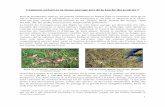 Comment préserver la faune sauvage lors de la fauche des ... · Nid de faisan détruit lors d’une fauche (© Jérôme Widar) Quantifier l’impact de la fauche des prairies sur