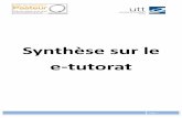 Synthèse sur le e-tutorat - Le Centre d'innovation ...tice.utt.fr/wp-content/uploads/2014/08/synthese_e-tutorat.pdf · PARTIE 1 : Description du e-tutorat PARTIE 2 : Le e-tutorat