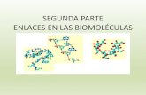 ENLACES EN LA BIOMOLÉCULASquetza.edu.mx/wp-content/uploads/2020/04/601-y-602.-SEGUNDA-P… · ENLACE COVALENTE •El enlace covalente se realiza cuando dos elementos no metálicos