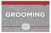 GROOMING - Carla PITIOT · 2017. 5. 26. · objeto generar herramientas para prevenir el delito de Grooming. La tarea de prevención y educación requiere continuidad y trabajo ininterrumpido.