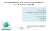 Mudanças climáticas e a capacidade adaptativa da cidade de ... · Percepções sobre mudanças climáticas e riscos Olhar míope para a questão climática opinião pública paulistana