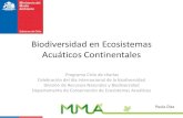 New Biodiversidad en Ecosistemas Acuáticos Continentales · 2019. 6. 20. · Ecosistemas Acuáticos Continentales Chile •Sistemas Acuáticos Continentales: –Inventariados en