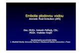 Amniotic Fluid Embolism (AFE) Doc. MUDr. Antonín ...lekari.porodnice.cz/ici_files/kriticke-stavy/prednasky_final_2010/27... · Amniotic Fluid Embolism (AFE) Doc. MUDr. Antonín Pařízek,