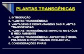 PLANTAS TRANSGÊNICAS transgênicas 2017.pdf · PLANTAS TRANSGÊNICAS 1. INTRODUÇÃO •Organismos geneticamente modificados (OGM) •Discussão no Brasil –Lei 8974 de 05/01/95