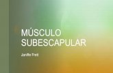MÚSCULO - saludmed.com · MUSCULO SUBESCAPULAR Author: janiffef@yahoo.com Created Date: 8/26/2020 12:07:56 PM ...