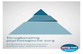 Terugbetaling psychologische zorg - Zorgnet-Icuro · 2017. 9. 12. · Organisatiemodel terugbetaling psychologische zorg (KCE) 1 Eyssen M. e.a. 2016. Organisatie- en financieringsmodel
