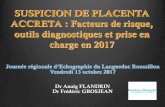 SUSPICION DE PLACENTA ACCRETA : QUELS OUTILS EN …nglr.fr/uploads/chographie et suspicion de placenta... · 2017. 10. 23. · Placenta Accreta: evaluation with color Doppler Us,