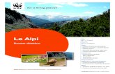 Le Alpi · 2020. 3. 4. · 2 Le Alpi – Vivalpina – evviva le Alpi! Il tema delle Alpi offre numerose possibilità di in-segnamento e di gioco per la vostra classe. Que-sto dossier
