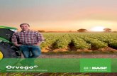 Orvego - BASF...локально-системный компонент диметоморф быстро проникает в ткани растений картофеля и контролирует