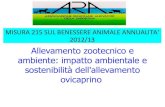 Allevamento zootecnico e ambiente: impatto ambientale e …sardegnaagricoltura.it/documenti/14_43_20130219110324.pdf · Piramide alimentare-ambientale È un modello ideato per orientare