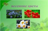 весенние цветы - dou14.org.rudou14.org.ru/images/metod/ves-cveti.pdf · весенние цветы. ЦЕЛЬ: Познакомить детей с первоцветами.