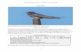 Data for landsvalefuglehaandbogen.dk/wp-content/uploads/2014/12/Landsvale.pdf · Sydafrika, men nogle Individer er også fundet nordligere i tropisk Vestafrika, og enkelte endog i