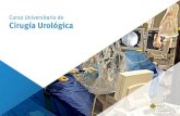 Curso Universitario de Cirugía Urológica · Curso universitario de Cirugía Urológica le garantiza, además de la formación más rigurosa y actualizada, el acceso a un título