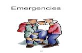Emergencies - WordPress.com€¦ · EMERGENCIES 208 Dealing with Emergencies Emergency situations will occur, despite the best of planning. Nature has a habit of turning a sunny day